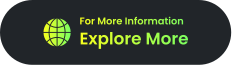 explore more